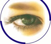Oeil